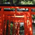 Obon - Die Geister/Seelen der Toten besuchen[...]