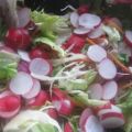Radieschen und mehr, mit wildem Dressing