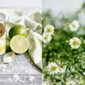 DIY: Body Scrub mit Limette und feiner[...]
