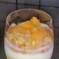 Joghurt-Aprikosen-Crunch