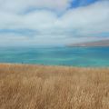 Godley Head (Christchurch)