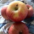 Apfel-Himbeer-Crumble