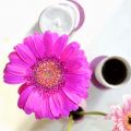 Samstagskaffee 6/14 und das Stadtjournal BOMA