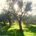 Winter in Kastro