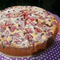 Erdbeer-Chocolat-Chip-Kuchen á la Dave