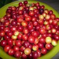 Rote Mirabellen Konfitüre !