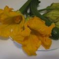 Frittata con fiori di zucchine