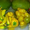 Chili 2013 - 
