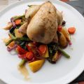 Stubenküken