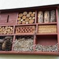 Honig - Bienen-Patenschaft