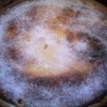 Weihnachtliche Apfel - Käse - Torte