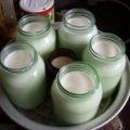 Joghurt selbstgemacht
