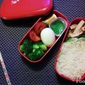 Bento No. 02 - Reis mit Gemüse und Ei