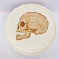 Anatomie Torte / Red Velvet Cake