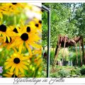UND WOLLT IHR IMMER NOCH BLUMEN SEHN...TEIL 2