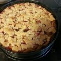 Quark-Pflaumen-Streuselkuchen