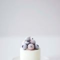 mini frozen yoghurt cakes
