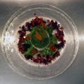 Räucherforellentörtchen mit Dillgelee auf[...]