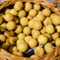 Ausprobiert: Longan
