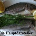 Dorade gegrillt mit Fenchel