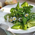 Brunnenkressesalat mit Wildkräutern und Blüten