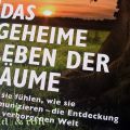 Der Wald in meinem Bett