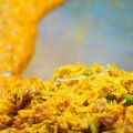 Mildes-Curry Sri Lanka