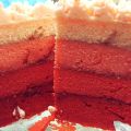 Pink Ombre Cake (Rezept)