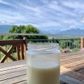 Melonenkernmilch