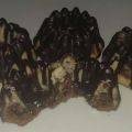 [#ichbacksmir] Kleine Nuss-Nutella-Guglehupfe