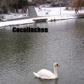 Schnee am Sieben Sachen Sonntag