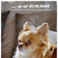 SOMMER DEKO......