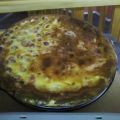 Aprikosen-Stachelbeerkuchen
