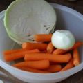 Karottensalat mit weißkraut