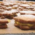 Weihnachts- Gewürzplätzchen mit Safran Ganache