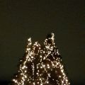 Urlaub: Reykjavik - Christmas Walk, Baden und[...]