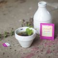 PRODUCTS WE LOVE tulsi tee von pukka