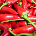 Chili Konservation