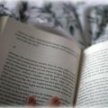 7 Sachen - 33/52