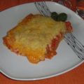 Gefüllte Cannelloni
