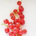 Früchte des Sommers - Johannisbeeren
