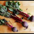 Rezept vom 19.01.2017: Vegane Rote Beete und[...]