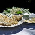 Elderflower Fritters – Gebackene Holunderblüten