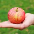 Wie wäre es mit einer Apfel -[...]