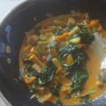 Rotes Curry mit Gemüse und Tofu