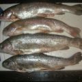 Forellen mit Orangensauce - mein Fischbestand[...]