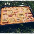 Rhabarber Mosaik Kuchen