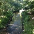 12tel Blick im Juni, dazu Schokorosinen :-)