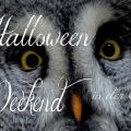 Halloween-Weekendgrusel in der Eifel......and[...]