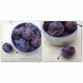 Purple - Zwetschgenkuchen